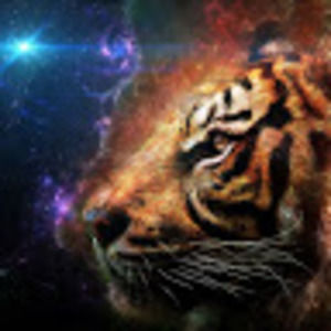 Meet your Posher, Jonathon